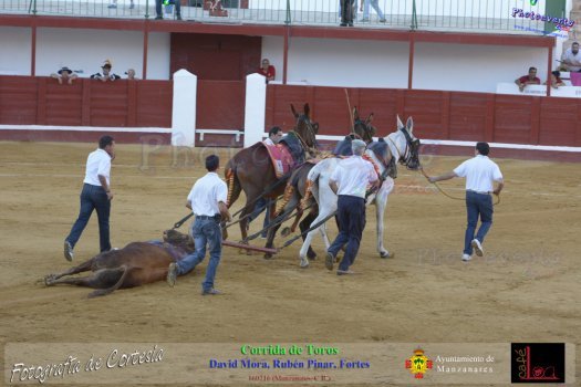 Corrida de toros en Manzanares