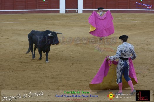 Corrida de toros en Manzanares