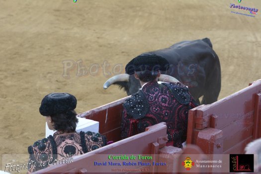 Corrida de toros en Manzanares