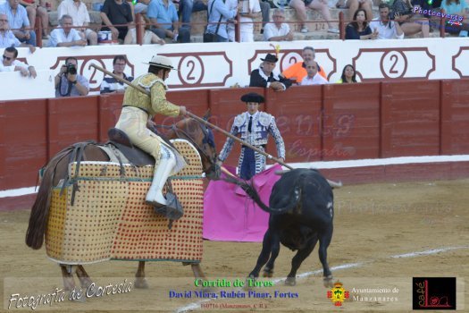 Corrida de toros en Manzanares