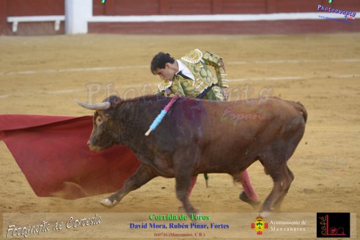 Corrida de toros en Manzanares