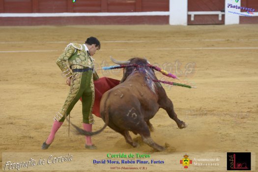 Corrida de toros en Manzanares