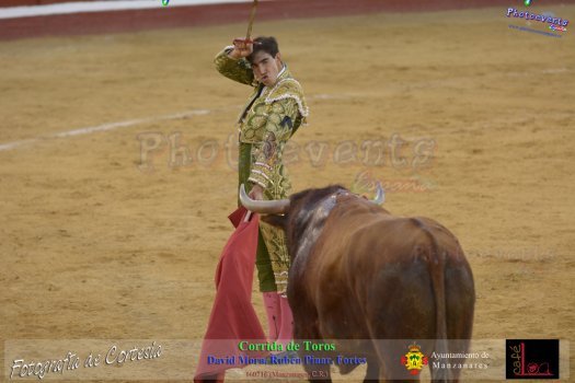 Corrida de toros en Manzanares