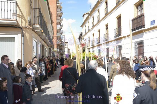 Procesion de Las Palmas Manzanares 2016