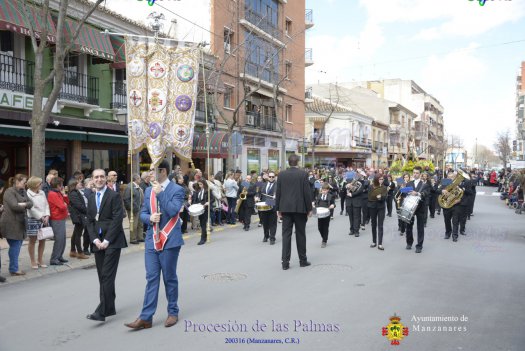Procesion de Las Palmas Manzanares 2016