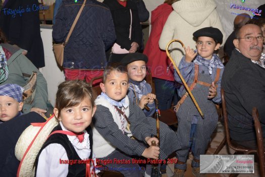 Inauguracion Fiestas Divina Pastora 2017
