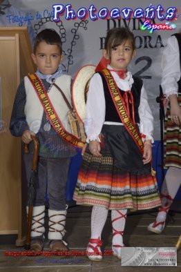 Inauguracion Fiestas Divina Pastora 2017