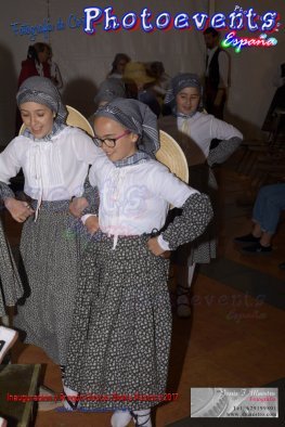 Inauguracion Fiestas Divina Pastora 2017