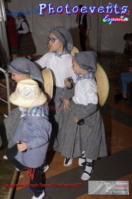 Inauguracion Fiestas Divina Pastora 2017