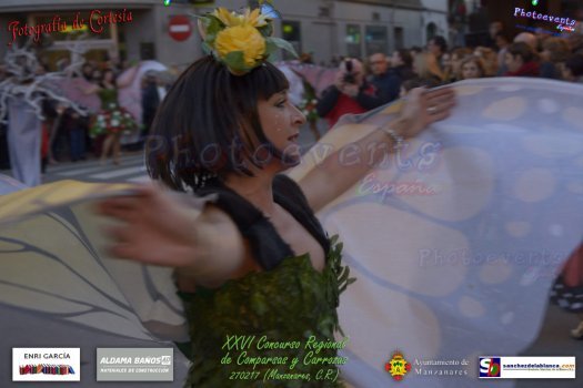 Concurso regional de Comparsas y Carrozas en los Carnavales 2017 de Manzanares