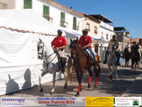 Imagen de 2 caballistas durante el pasacalles de caballos celebrado en Manzanares, 1 caballo blanco y 1 caballo color caoba, con dos jinetes de camiseta roja y gorra