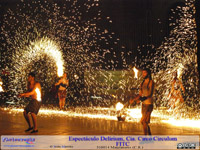 Fotografia realizada durante el espectáculo Delirium, durante FITC de Manzanares 2014